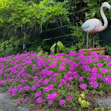 Dreamtime Houseboat Botel *