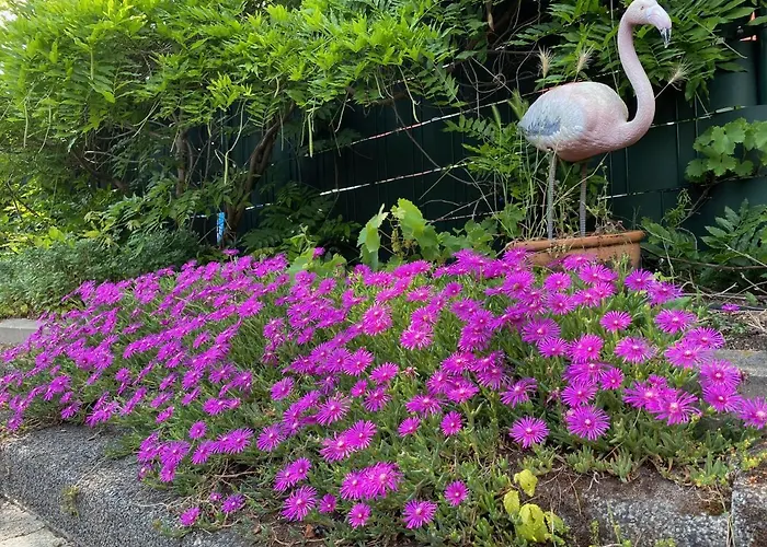 Dreamtime Houseboat Botel *