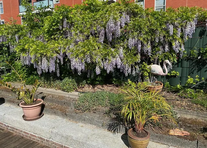 Dreamtime Houseboat Botel Amsterdam