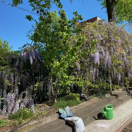 Dreamtime Houseboat Hotel na wodzie Amsterdam