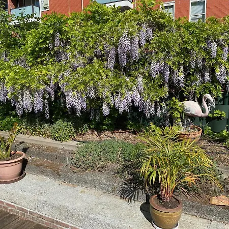 Dreamtime Houseboat Hotel na wodzie Amsterdam